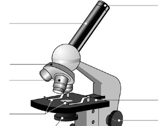 KS3 : Organisms : Cells : Lesson 2 : Microscope