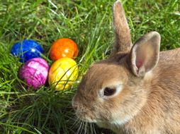 Easter Problem Solving Differentiated Bundle.
