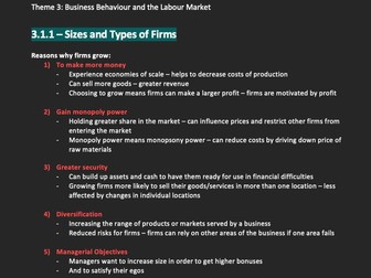 A-level Theme 3 Edexcel A Microeconomics notes