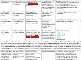 Anatomy summary on Upper limbs and lower limbs.