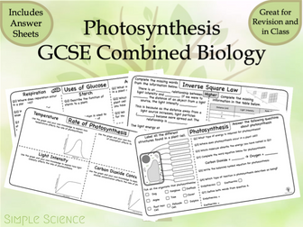 Photosynthesis - GCSE Biology Worksheets