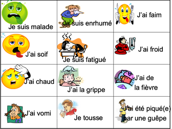 Illness: avoir / être expressions - Expo 3 Module 3 - Differentiated lesson