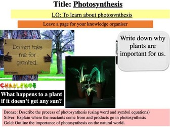 Year 8 Science Biology - Photosynthesis