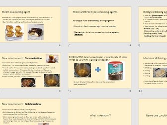 Raising agents Food Science PowerPoint and worksheet