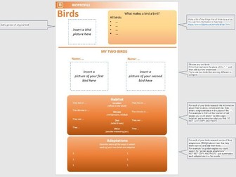 Classification and adaptations research lessons