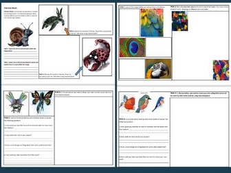 Art Cover work sheets BUNDLE (Animal Project)