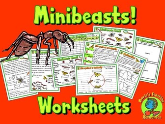 Minibeasts Worksheets