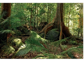 Living world and cold environment Revision clock Yr 10/11 GCSE Geography AQA Retrieval