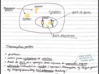 AQA Biology Topic 8 Revision Notes