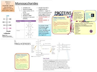 Biological Molecules (Module 2.2 - Biology A (2015+)) COMPLETE set of PowerPoints