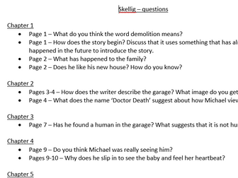 Comprehension questions for every chapter of Skellig