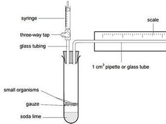 Edexcel IAL Biology Unit 6 Skills Revision Lesson