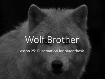 Wolf Brother scheme and lessons (could link to Stone Age to Iron Age as theme)