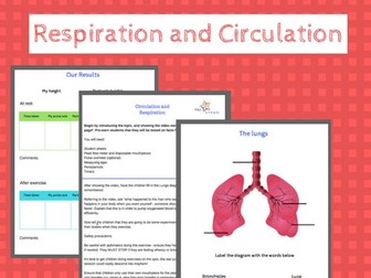 Respiration and Circulation - a fun introduction, complete lesson