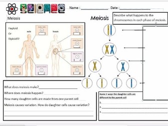 AQA GCSE Biology - Genetics Lesson Bundle (4.6.1) (B13) | Teaching ...