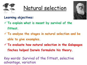 Natural selection