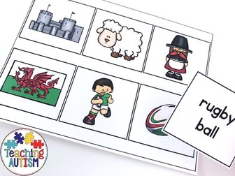 St. David's Day Word to Picture Matching Activity