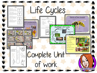 Animal Life Cycles Complete Unit Lesson Bundle