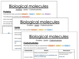 Biological Molecules Worksheet, IGCSE Biology