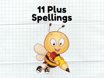 11 Plus Spellings