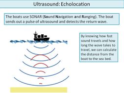 Ultrasound: Explanation and Examples (KS3/SEN) | Teaching Resources