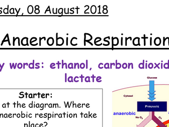 AQA A level Biology - Anaerobic respiration