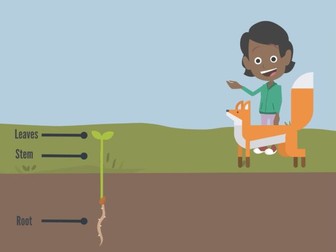 Lower KS2 Science – ‘Plants, living things and their habitats’.