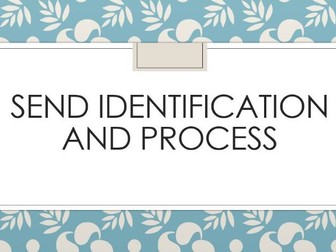 SEND Identification training