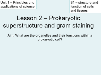 Prokaryotic superstructure and gram staining