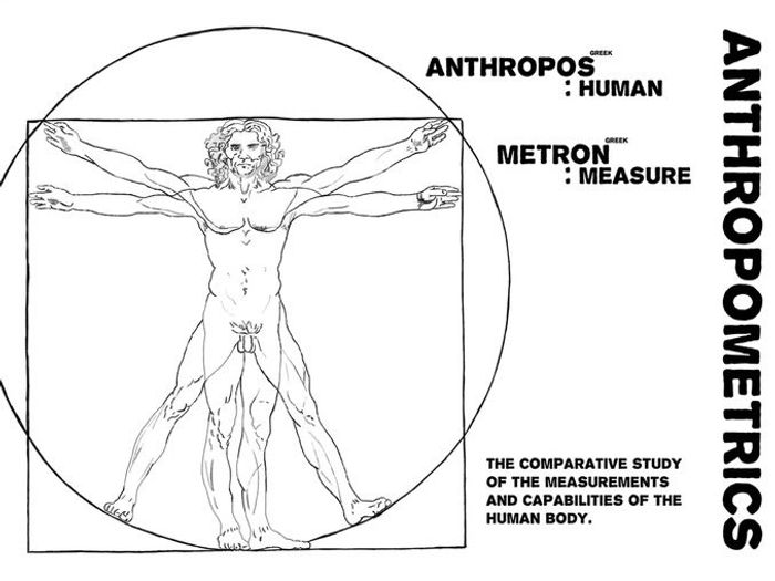 Anthropometrics Poster | Teaching Resources