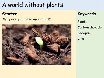KS3 Plants - Lesson 9 - A World Without Plants