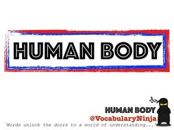 Human Body Topic Vocabulary Pack