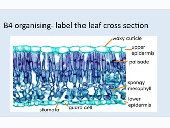 GCSE Biology: Key Knowledge Q&A Pack