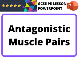 GCSE PE - Antagonistic Muscle Pairs