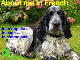 Je m'appelle - About me in French - Video + Worksheets