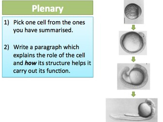 NEW AQA GCSE Cells 3-4 Specialised Cells
