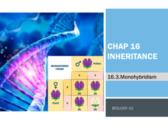 CIE - 16.3-Inheritance - Monohybridism and Dihybridism