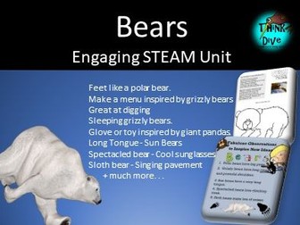 Project Based Learning: Bears - STEAM, Biomimicry, KS1, NGSS