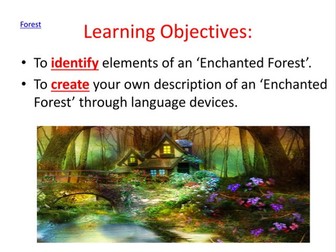 Creative writing: create a description of an 'Enchanted Forest'.