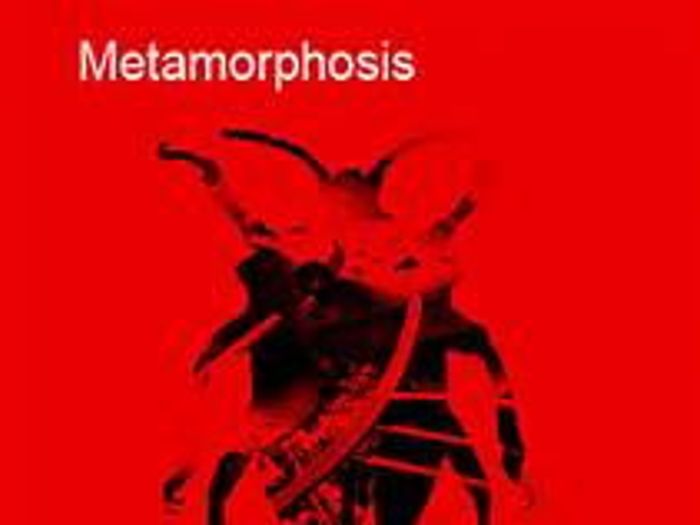 metamorphosis steven berkoff script