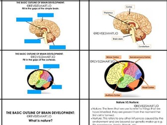 Development AQA GCSE Psychology Revision Cards