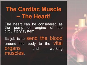 GCSE PE - Component 1 - A&P - Respiratory & Cardiac Systems (New Edexcel Specification)