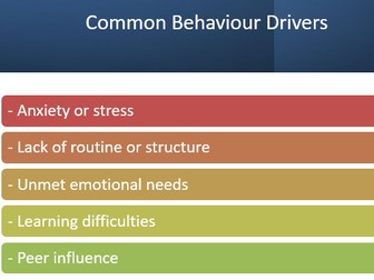 Improving Behaviour in Primary Schools