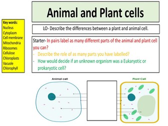 AQA Cell biology | Teaching Resources