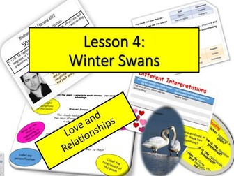 L4 - Winter Swans