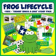 Frog Lifecycle Science Resources Display Early Years Ks1 2 Spring
