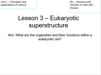 Eukaryotic super structure - animal cells