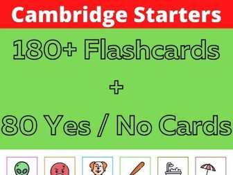 Cambridge Starters Flashcards & Yes / No Cards