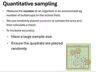 B7 Ecology - L4 Quadrats Required Practical