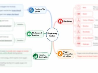 Cambridge Primary Science 6: 1.2 The Respiratory System Mind Map